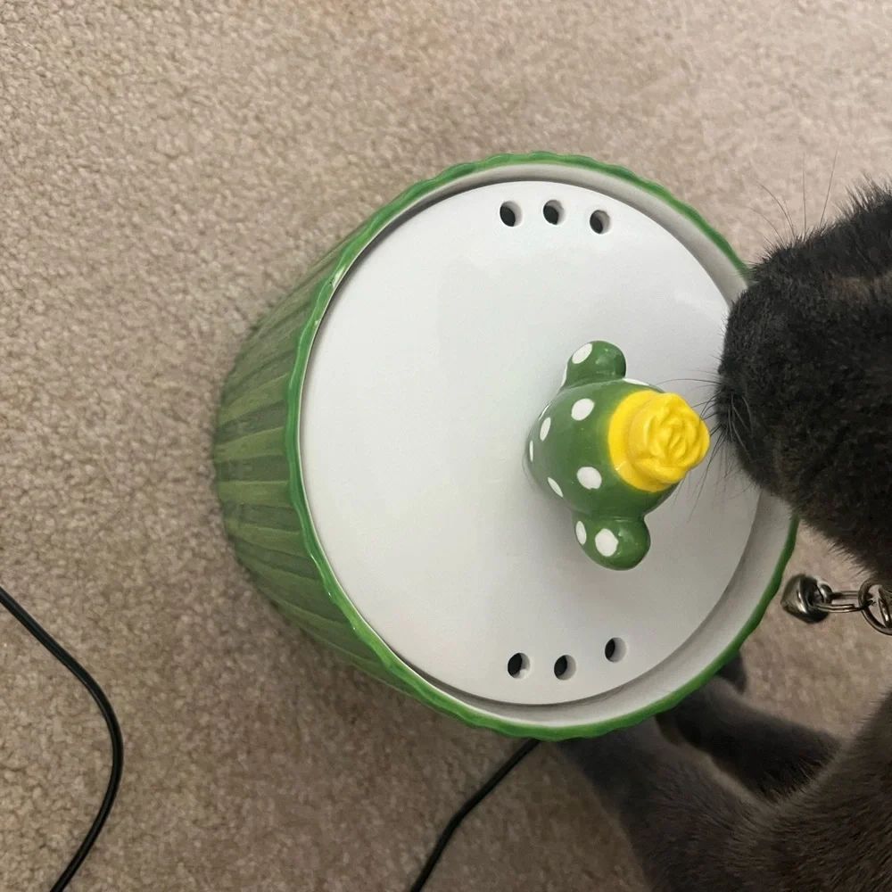 Happy and Polly Cactus Water Fountain